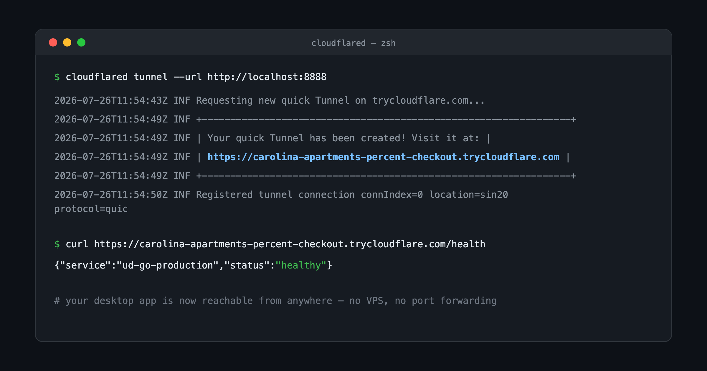 Real terminal output: quick tunnel created, and curl against the public address returns healthy